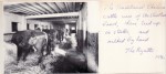 Thumbs/tn_GS0205a.jpg